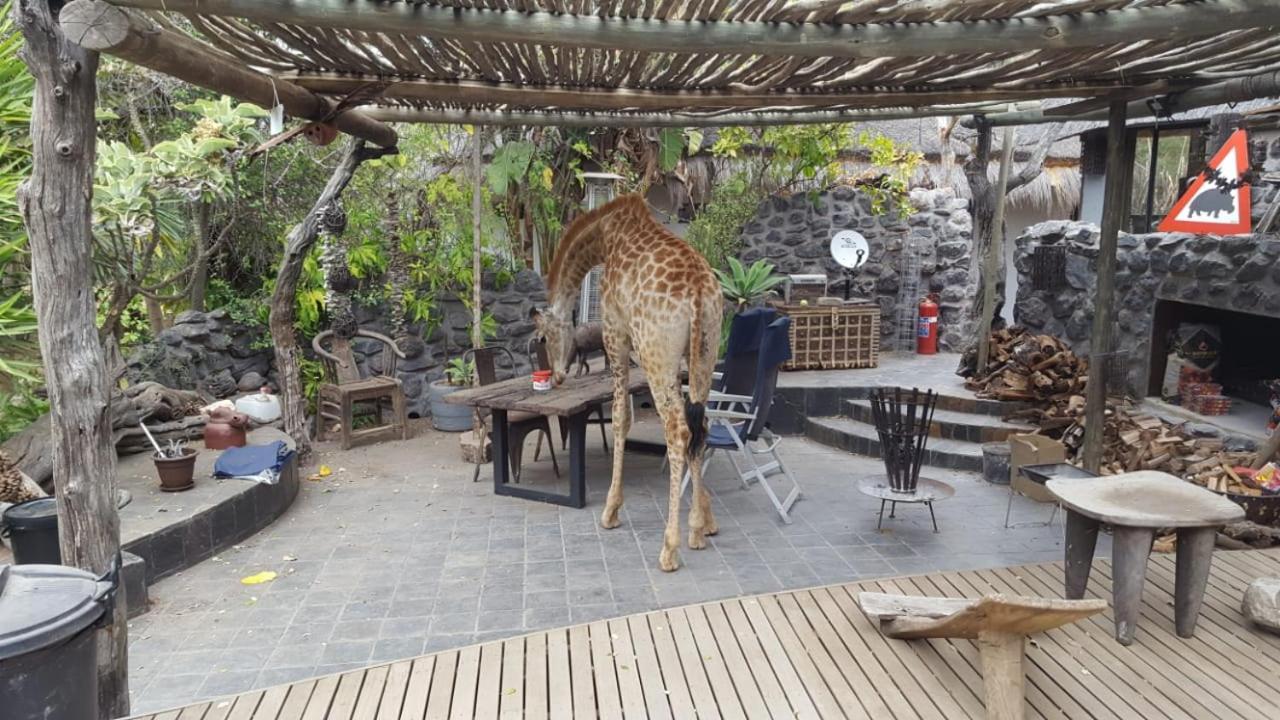 Hippomoon Game Reserve Guest house *