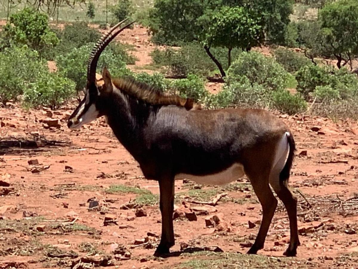 Guest house Hippomoon Game Reserve